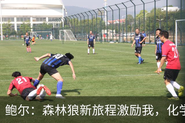 鲍尔：森林狼新旅程激励我，化学反应即将绽放